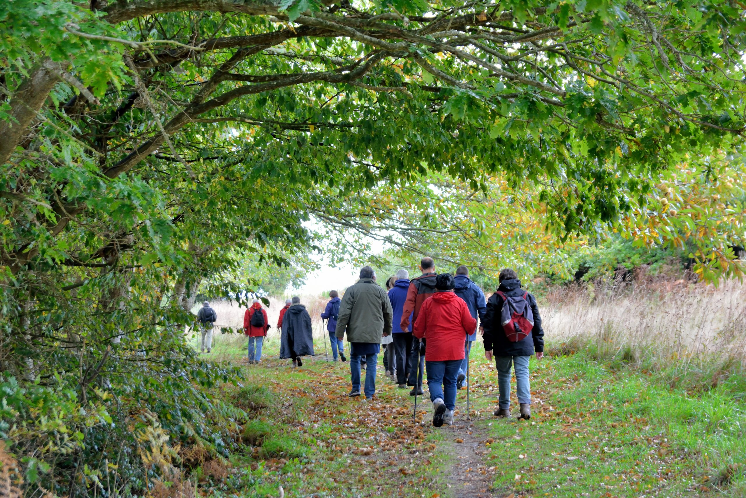 Senior hikers on the path at Plougrescant in Brittany France